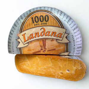 LANDANA GOUDA HOLENDERSKA DOJRZEWAJĄCA 1000DNI