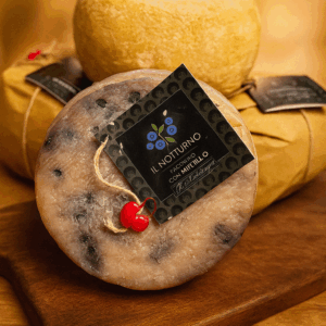 Ser Włoski pecorino z jagodami Pecorino Il notturno con mirtillo